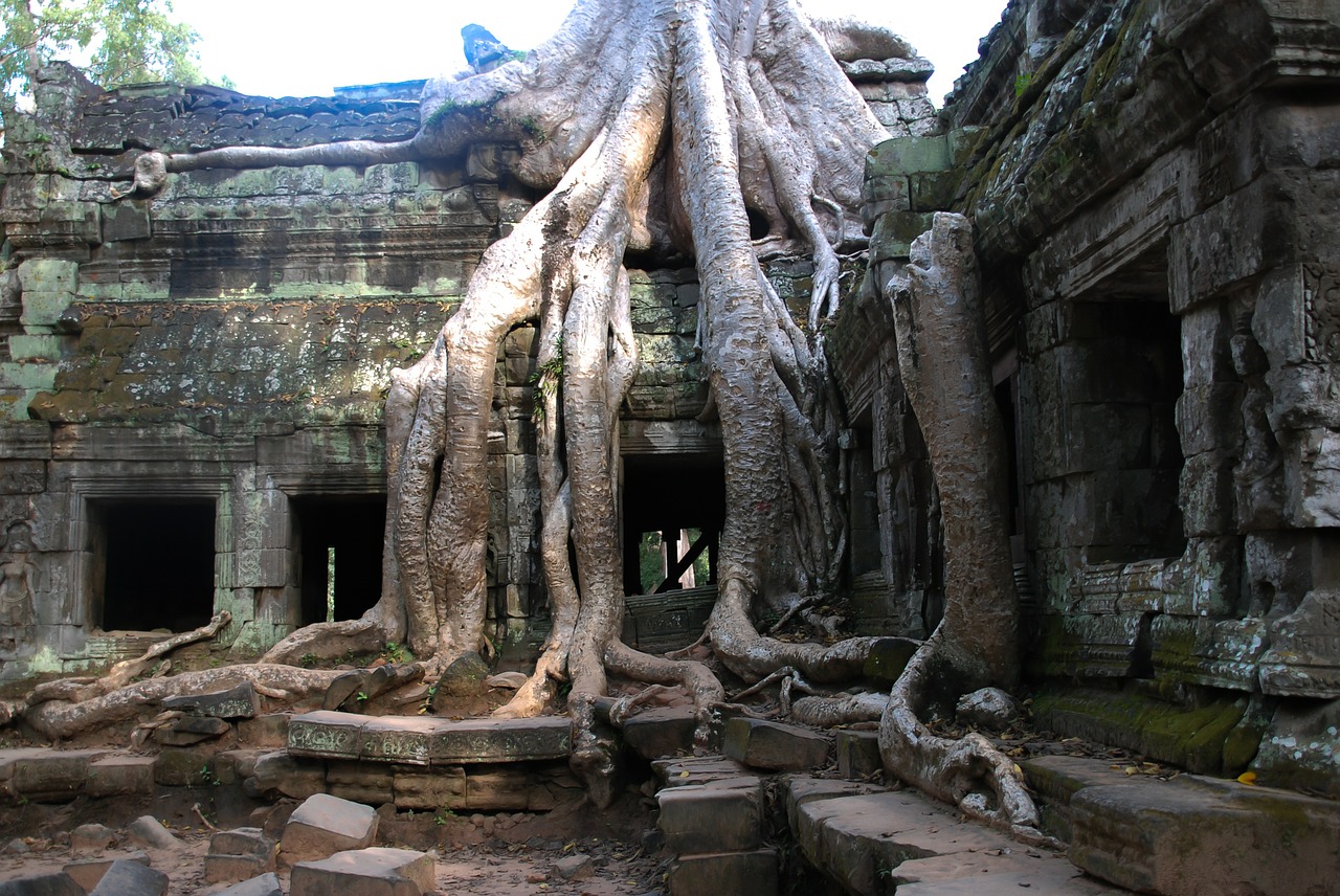 This is one of the fascinating sights to be seen at the tour of Angkor Wat.