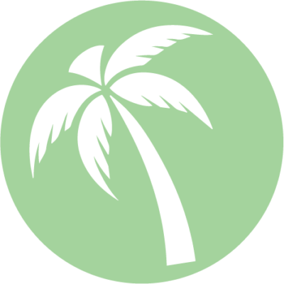 cropped-cropped-Palm-Air.png